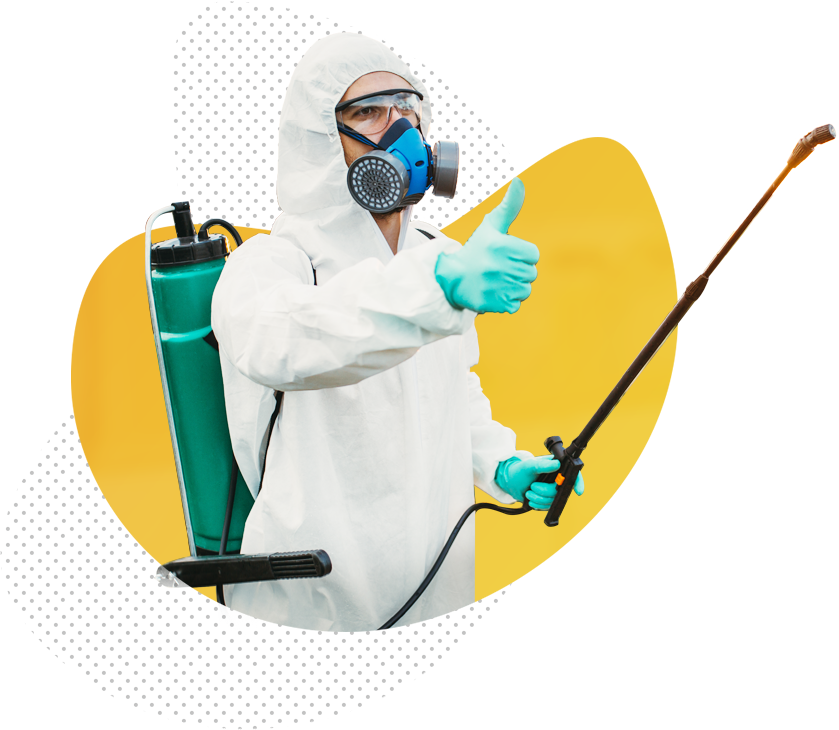 Böcek İlaçlama Hizmeti